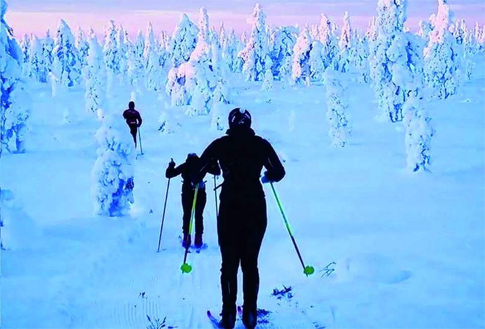 Skidorienterare åker skidor i skogen