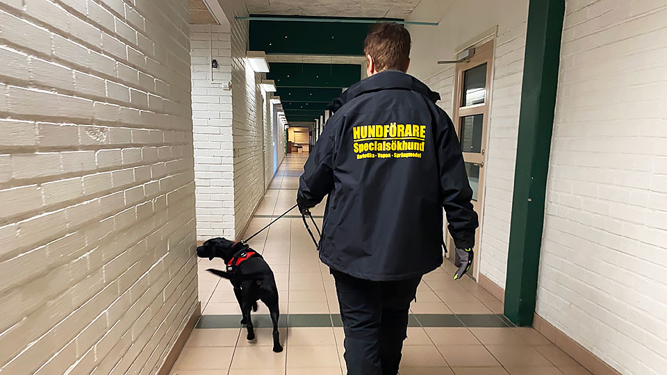 Narkotikahund söker av skolkorridor